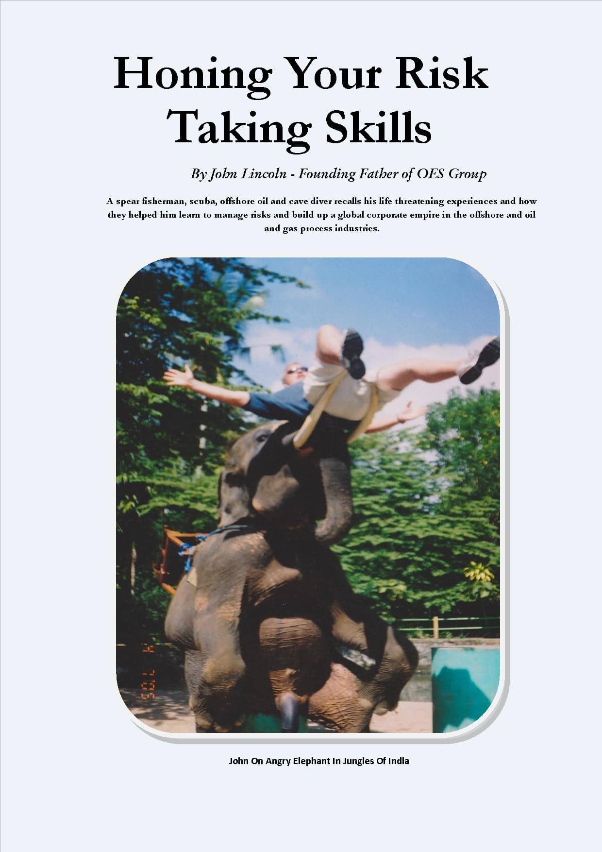 Honing Your RiskTaking Skills Book by John B Lincoln